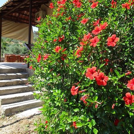 Gasthaus Countryside House Perachora Exterior foto