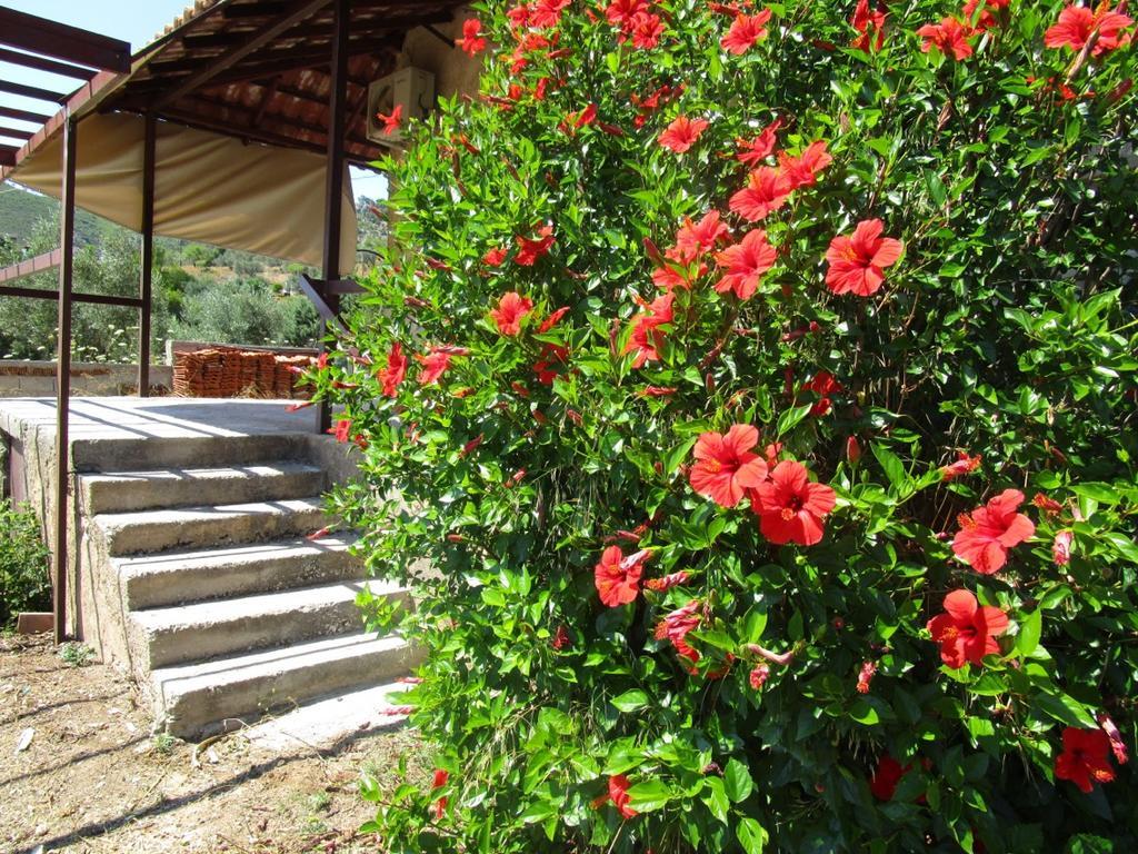 Gasthaus Countryside House Perachora Exterior foto